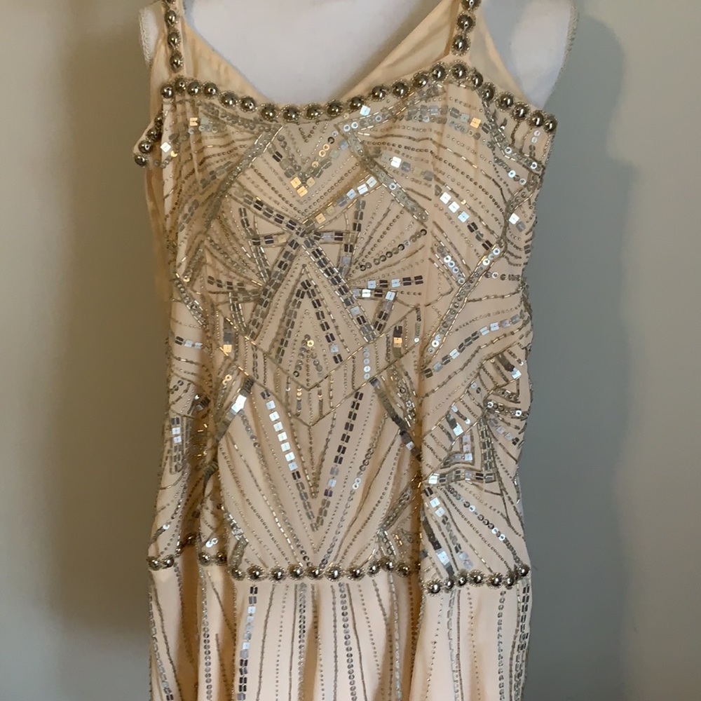 NWT Parker Devan’s Dress in blush - Picture 8 of 11